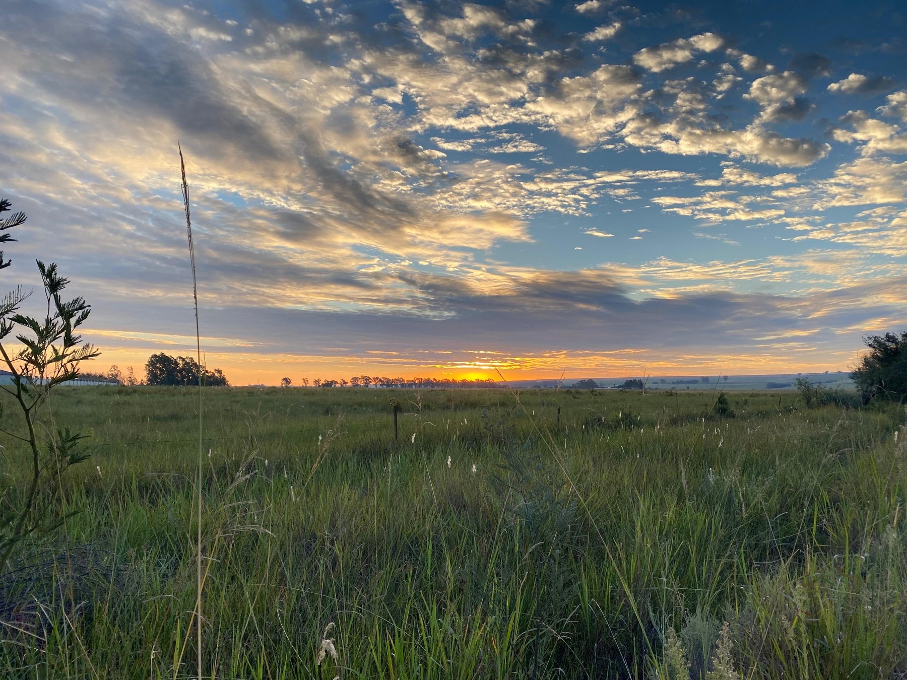 Wide sunset view across the fields at 3 Eike Boerdery